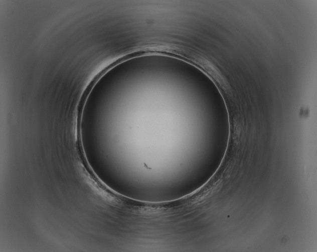 X0000091561036200708241811