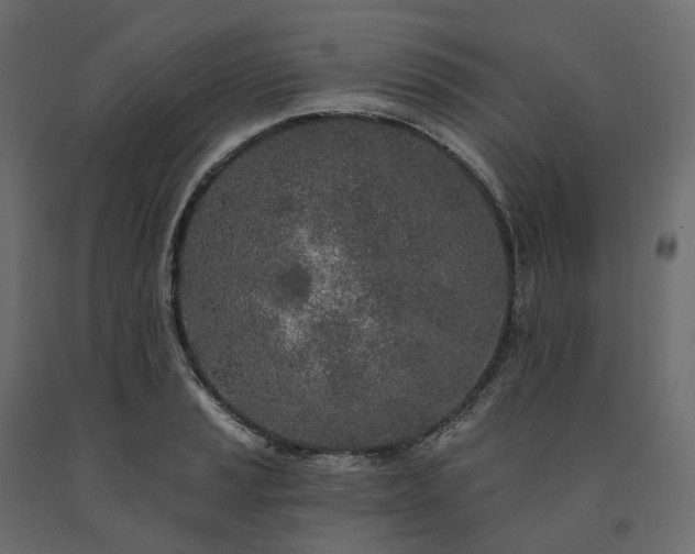 X0000091561037200708241811