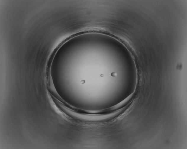 X0000091561038200708241811