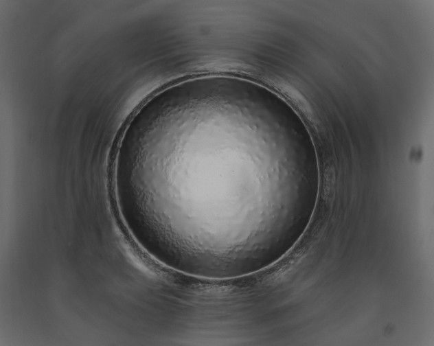 X0000091561039200708241811