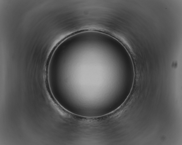 X0000091561040200708241811