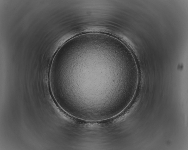 X0000091561041200708241811