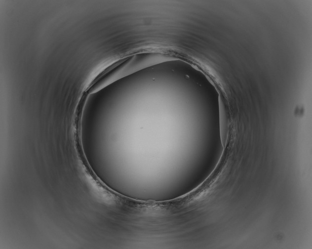 X0000091561042200708241811