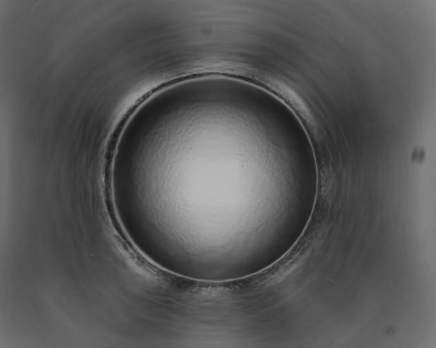 X0000091561043200708241811