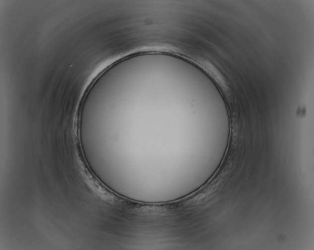 X0000091561044200708241811