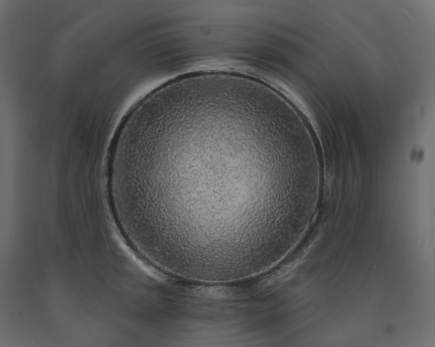 X0000091561045200708241811