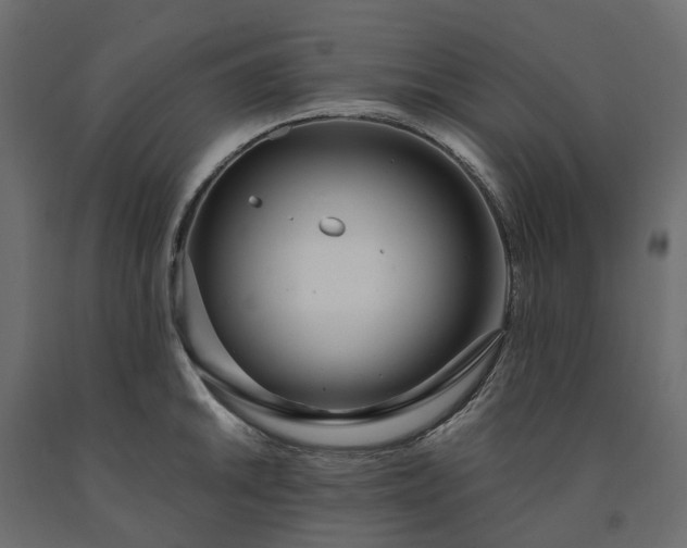 X0000091561046200708241811