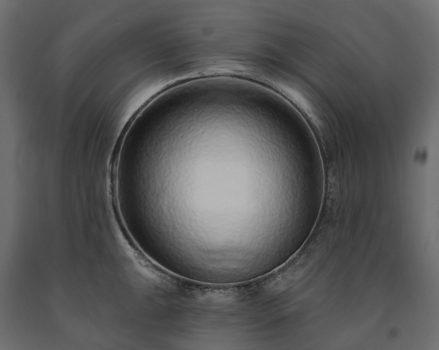 X0000091561047200708241812