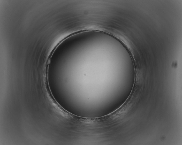 X0000091561048200708241812