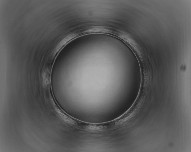 X0000091561049200708241812