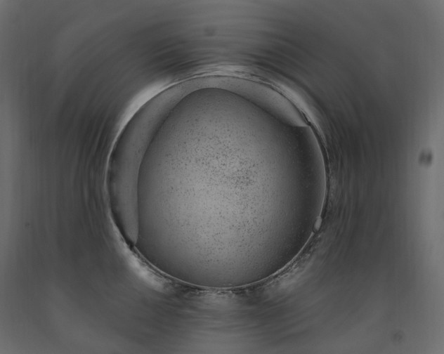 X0000091561050200708241812