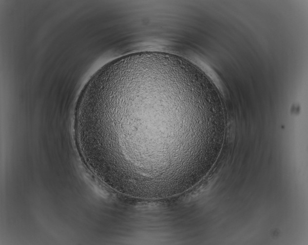 X0000091561051200708241812