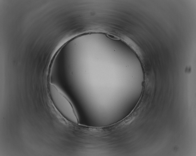 X0000091561052200708241812