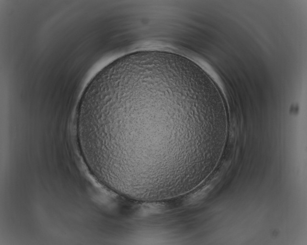 X0000091561053200708241812