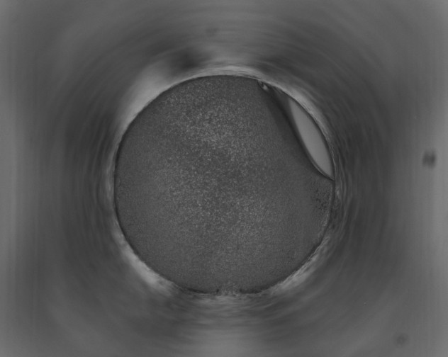 X0000091561054200708241812