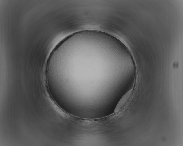 X0000091561056200708241812