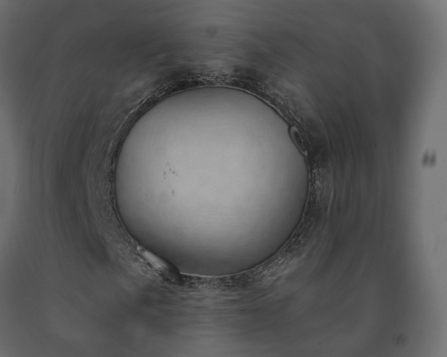 X0000091561057200708241811