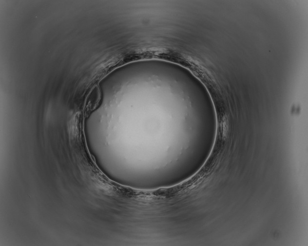 X0000091561059200708241811