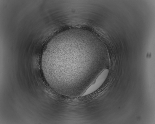 X0000091561060200708241811