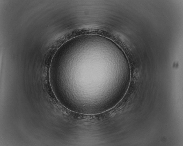 X0000091561062200708241811