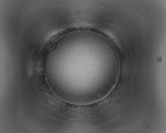 X0000091561063200708241811