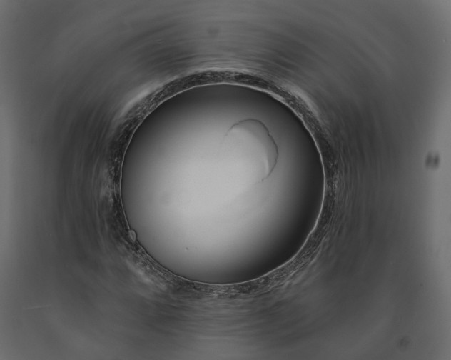 X0000091561064200708241811