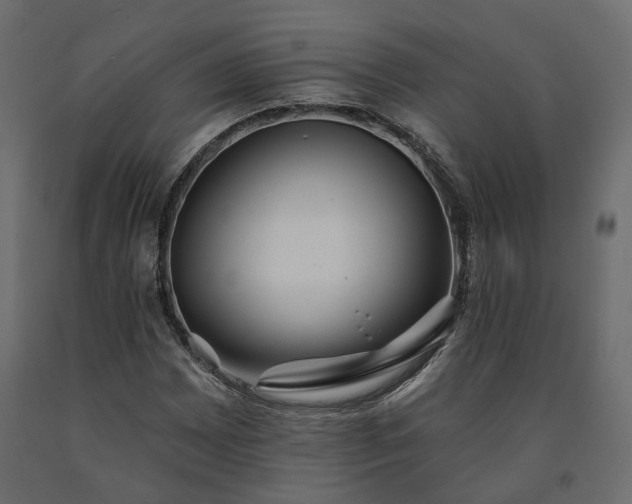 X0000091561065200708241811