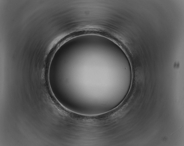 X0000091561066200708241811