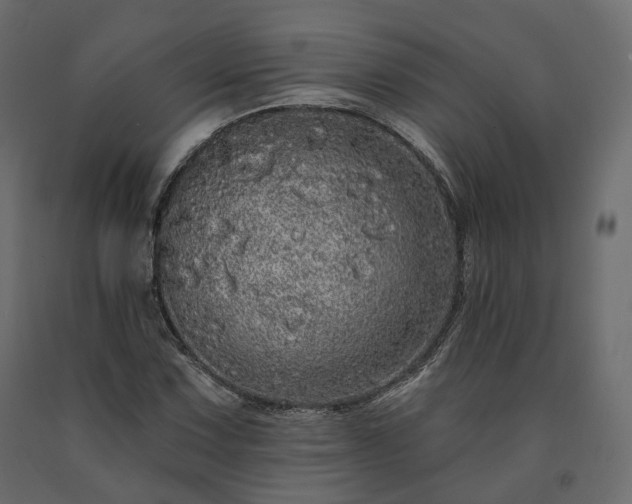 X0000091561067200708241811