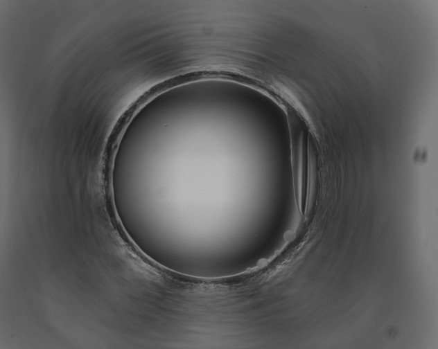 X0000091561068200708241811