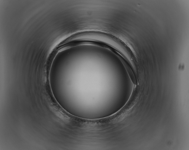 X0000091561069200708241811