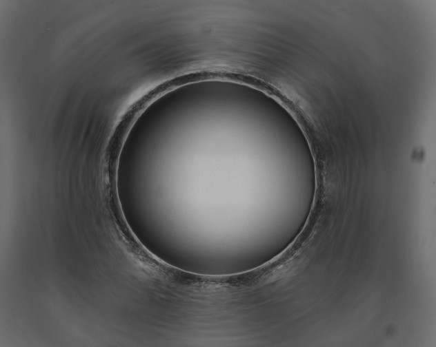 X0000091561070200708241811