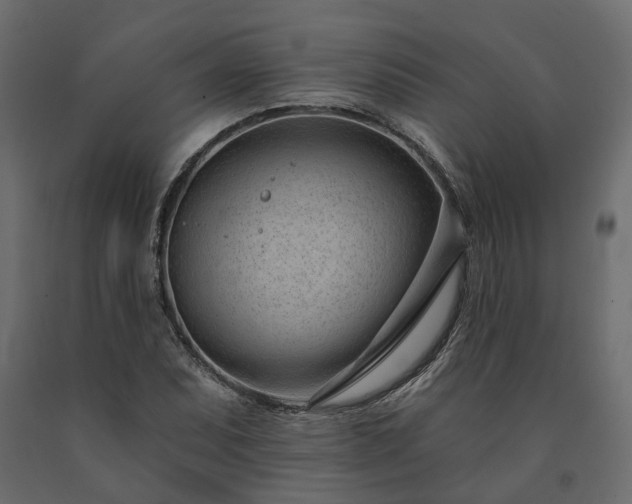 X0000091561071200708241811