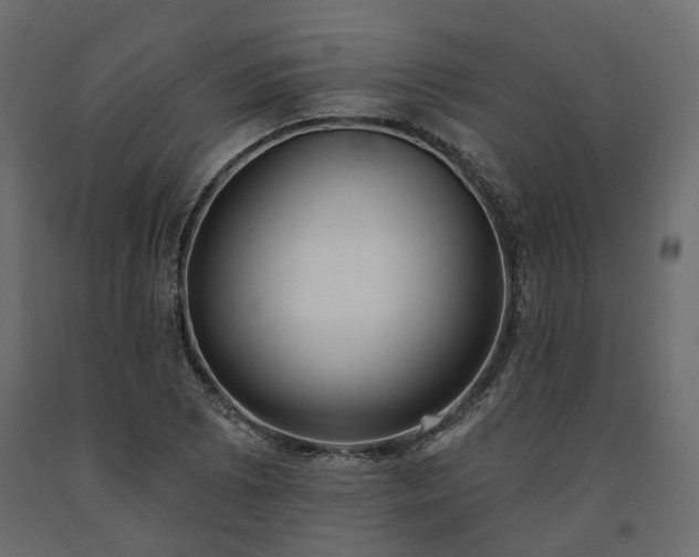 X0000091561073200708241811