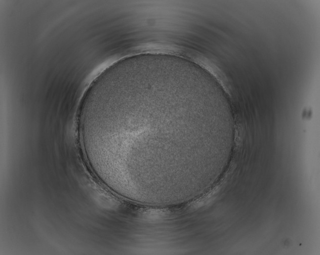 X0000091561074200708241811