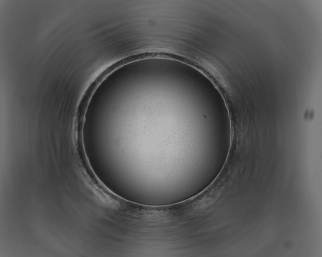 X0000091561076200708241811