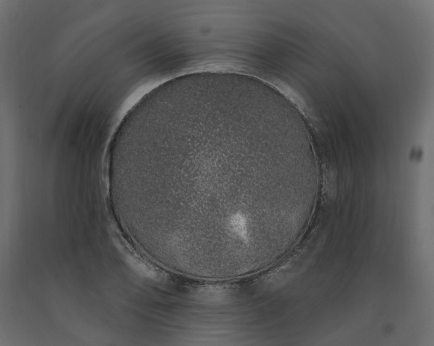 X0000091561078200708241811