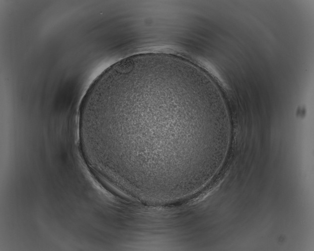 X0000091561079200708241811