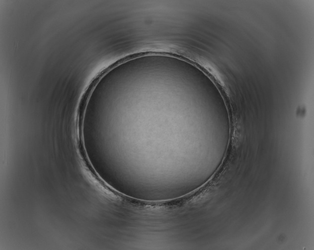 X0000091561080200708241811