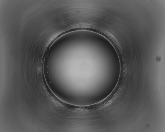 X0000091561081200708241811