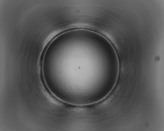 X0000091561082200708241811