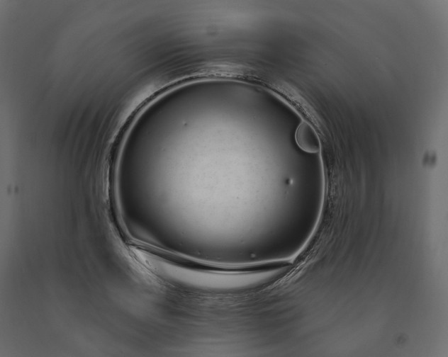 X0000091561083200708241811