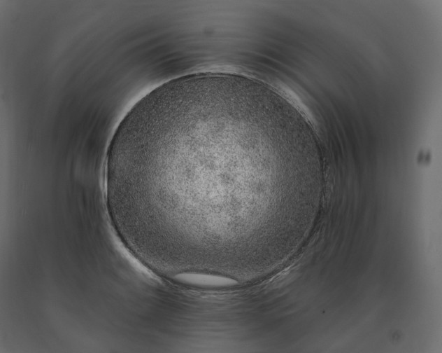 X0000091561084200708241811