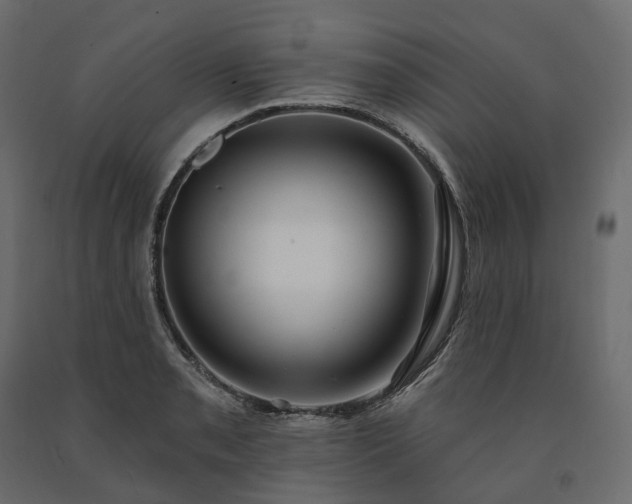 X0000091561085200708241811