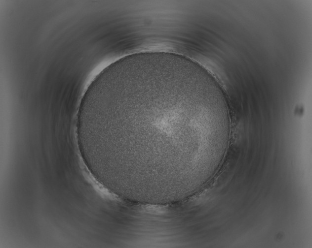 X0000091561086200708241811