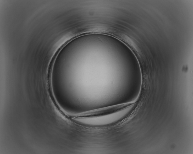 X0000091561087200708241811