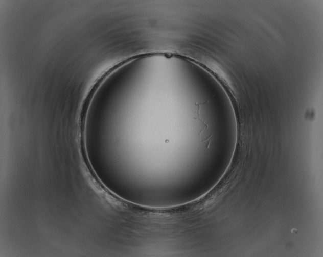 X0000091561088200708241811