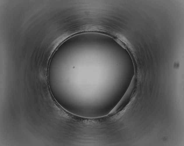 X0000091561089200708241811