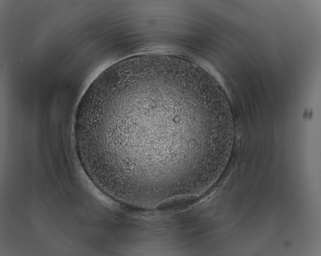 X0000091561091200708241811