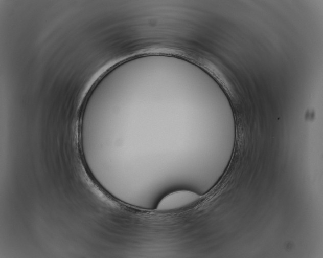 X0000091561092200708241811